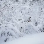 Consigli Ministero Salute: ecco cosa emerge in merito