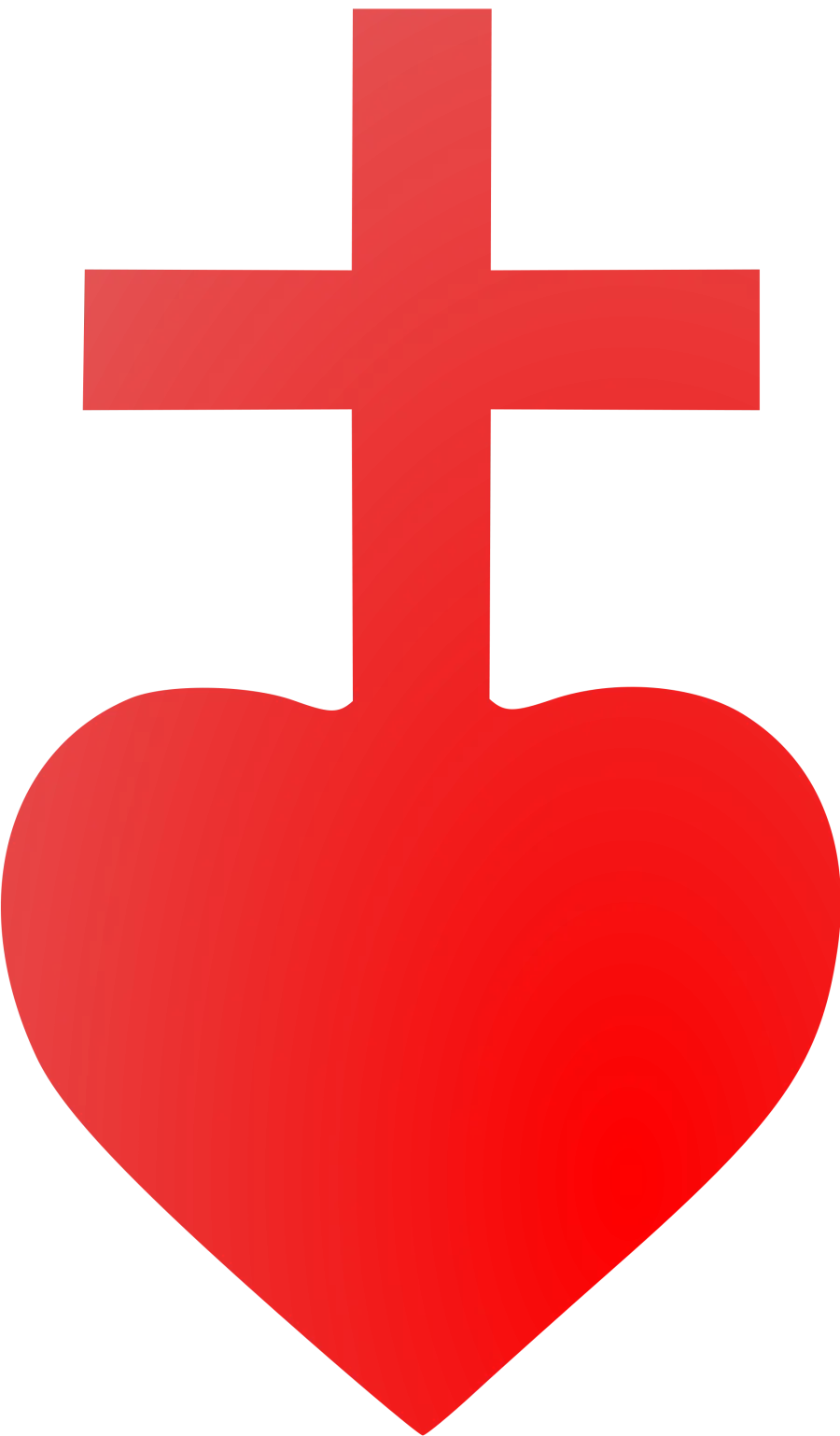 Effetti collaterali chemioterapia: a carico del cuore, ad esempio