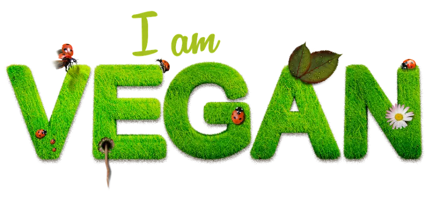 Enrico Montesano vegano: una scelta per motivi di salute