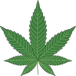 Francesco Monte su L’Isola: mai fumato marijuana