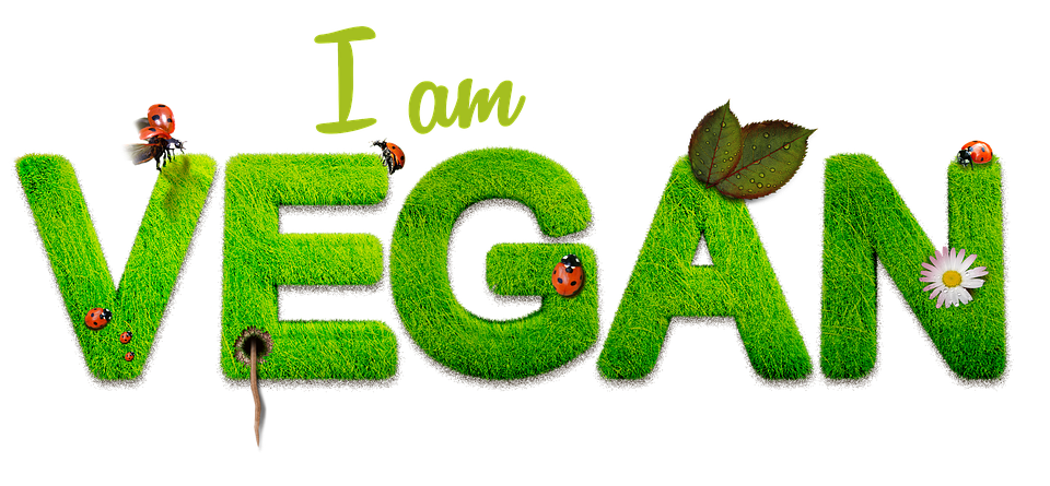 Enrico Montesano vegano: una scelta per motivi di salute