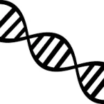 Cultura genetica esiste: ecco le conferme della rivista Science