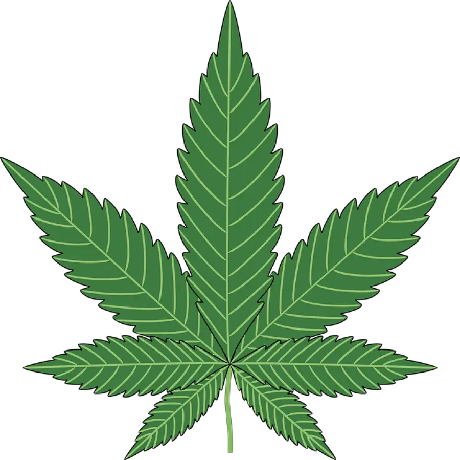 Francesco Monte su L’Isola: mai fumato marijuana