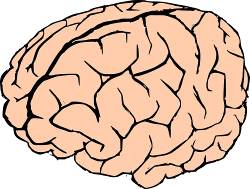 Sport da contatto dannoso: potrebbe comportare danni al cervello