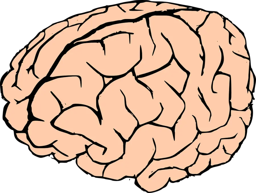 Sport da contatto dannoso: potrebbe comportare danni al cervello