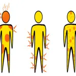 Malattia di Lyme sintomi: ecco in che modo si presenta la patologia