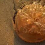 Contatto con una medusa: come comportarsi se si è allergici