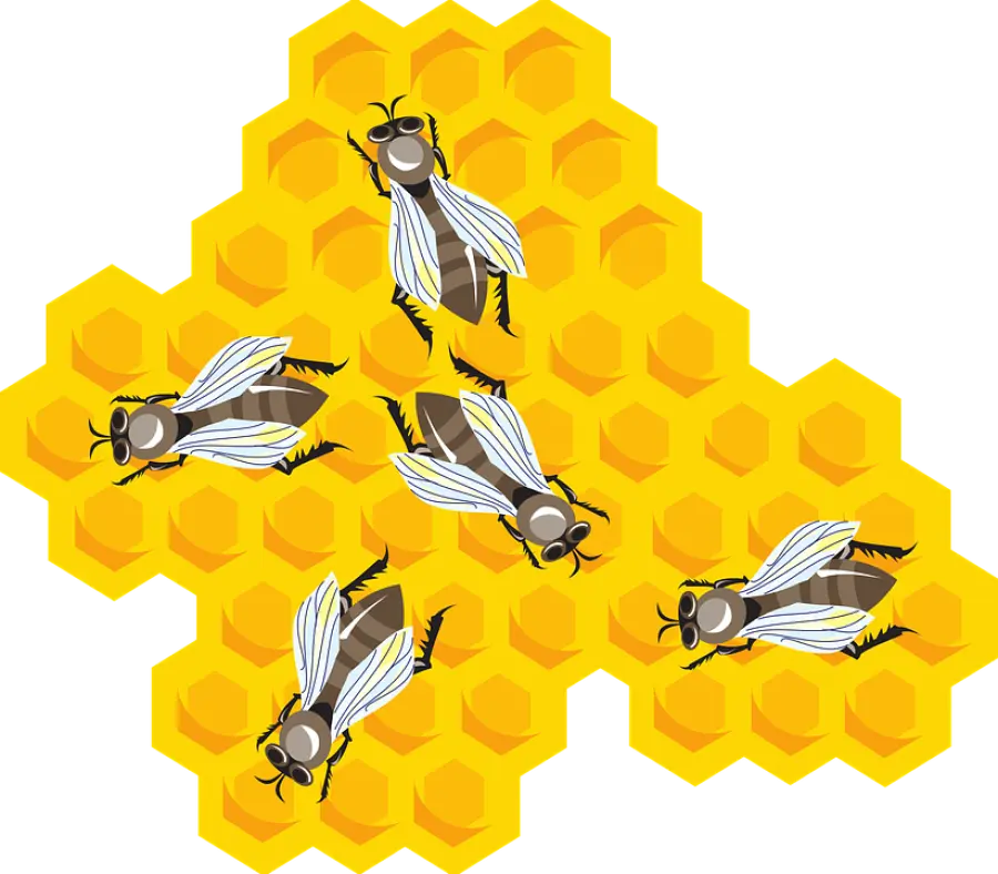 Punture di insetti: insidie che possono essere anche fatali