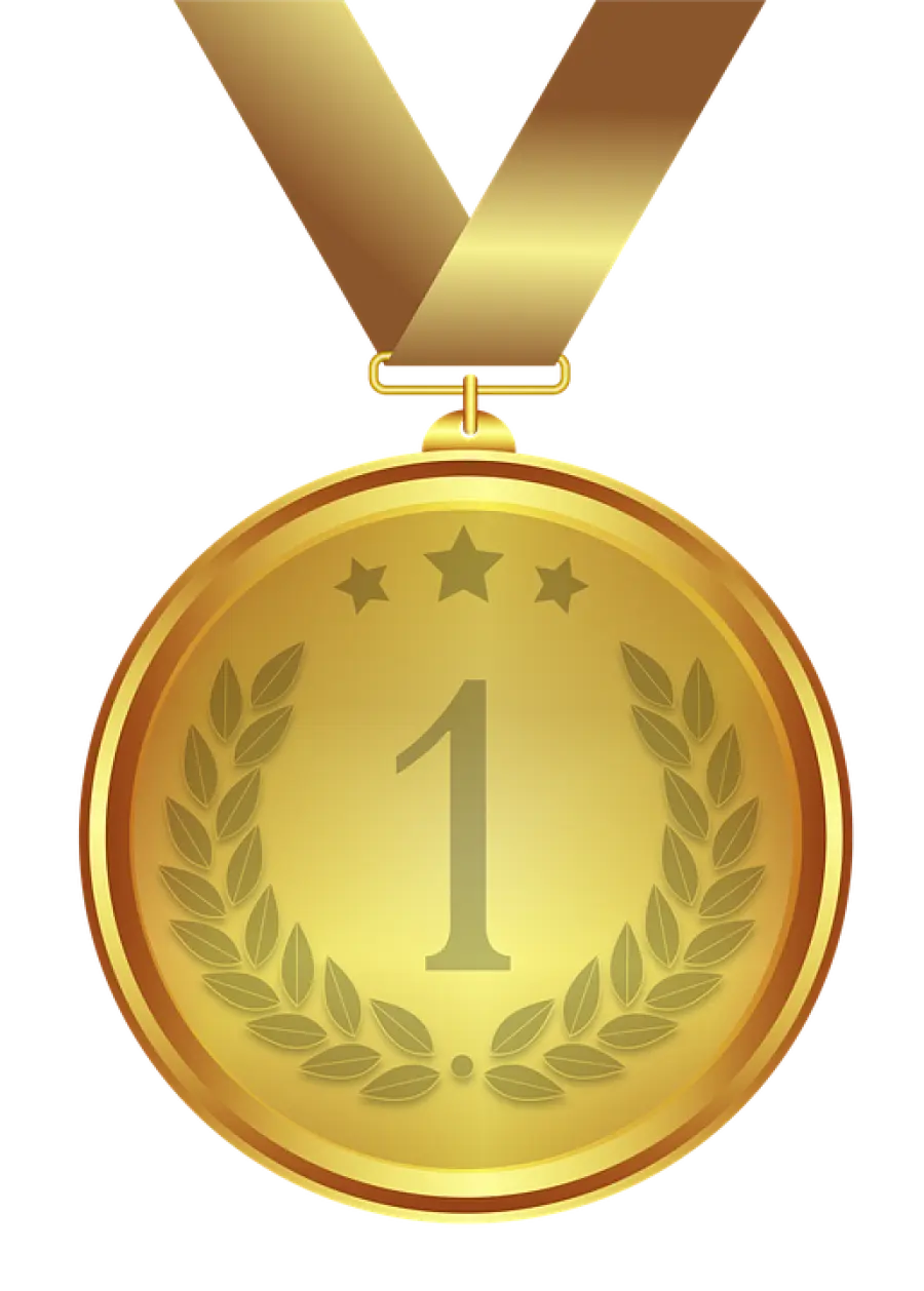 Medaglia Kingdom Hearts Union X: il premio per l’impero Disney