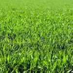 Massimo Bossetti innocente? Un altro elemento potrebbe scagionarlo