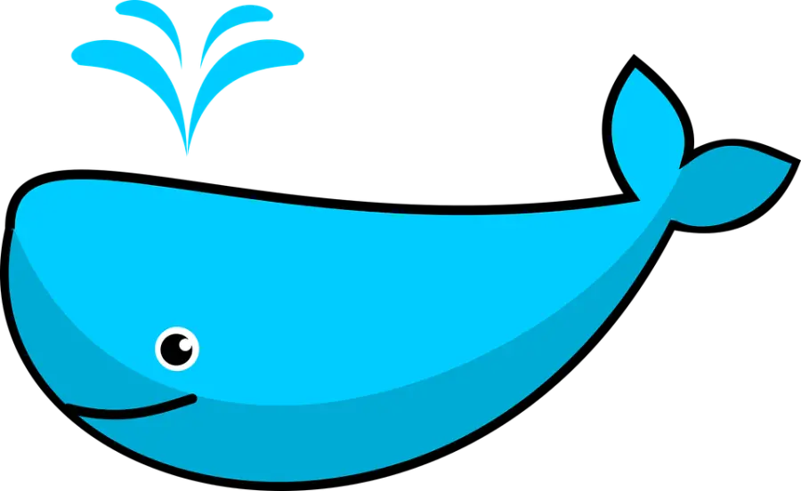 Blue Whale fenomeno in espansione: monitorare comportamento figli