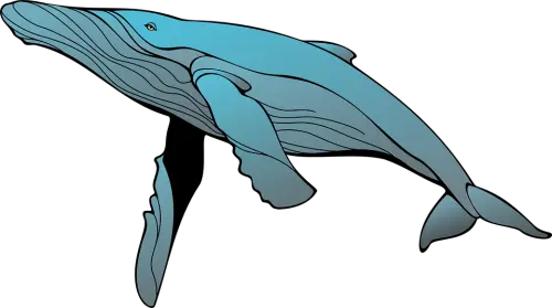 Blue Whale a Catania: polizia postale ferma ragazzina