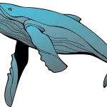 Blue Whale a Catania: polizia postale ferma ragazzina