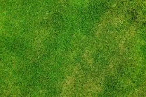 Milan torna in Europa: raggiunto risultato dopo tre anni