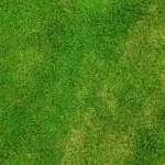 Milan torna in Europa: raggiunto risultato dopo tre anni