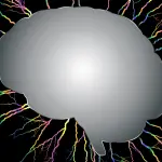 Cervello Cartesio: evidenziata anomalia in corteccia frontale