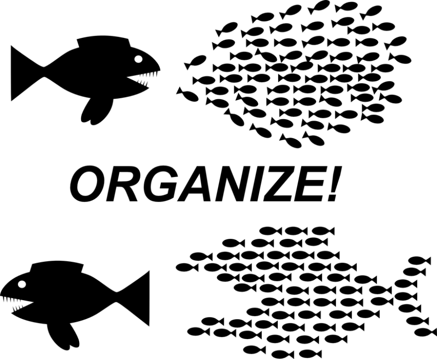 Epidemia morbillo: allarme in Italia, occorre fare sensibilizzazione