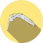 Allarme allergie tra i bambini: numeri in netto aumento