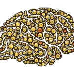 Errori, il cervello li riconosce anche se non dipendono direttamente da noi stessi