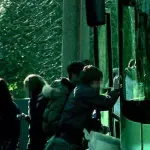 Verbania, minorenne si prepara spinello sull'autobus: fermata dai Carabinieri