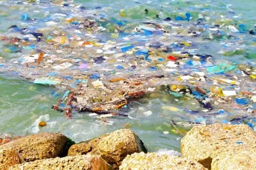 Lago d'Orta: pescato pesce con chele di granchio e plastica nello stomaco