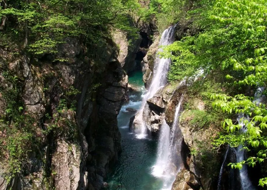 Ticino Val Grande Verbano, proclamata nuova biosfera Unesco